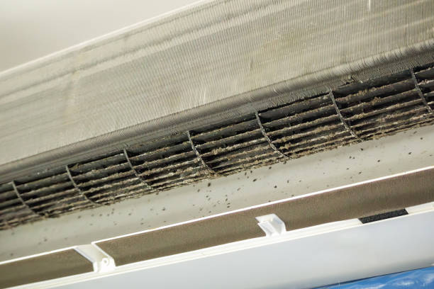 Best Ductwork Cleaning Services  in Justin, TX